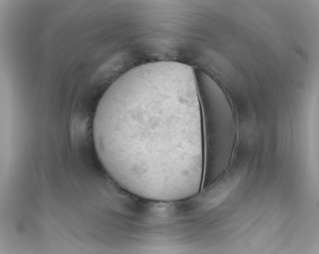 X0000111020088200907171904
