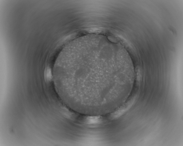 X0000111020089200907171904