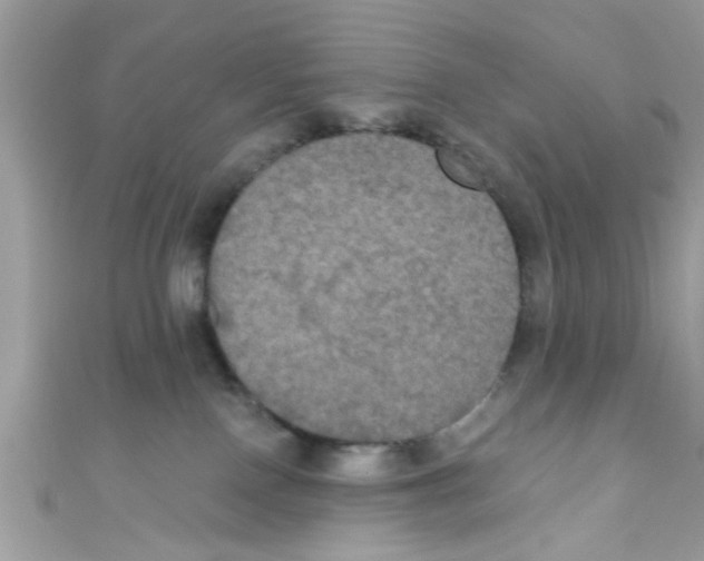 X0000111020090200907171904