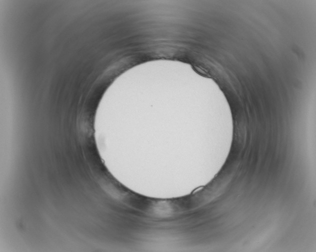 X0000111020091200907171904
