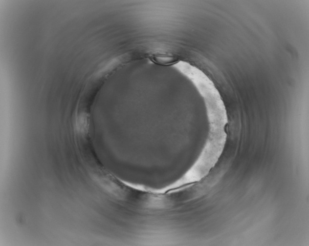 X0000111020093200907171904