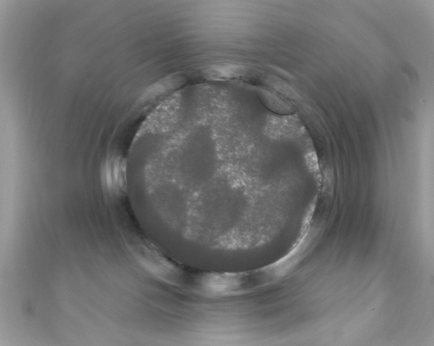 X0000111020094200907171904