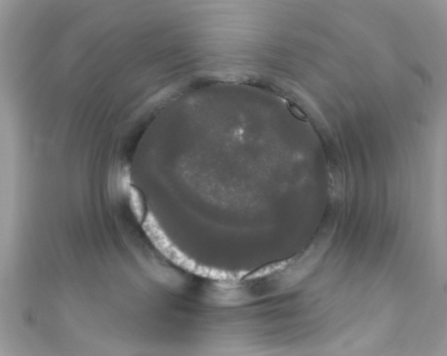 X0000111020095200907171904