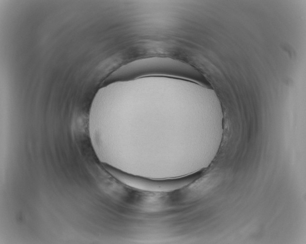 X0000111020096200907171904