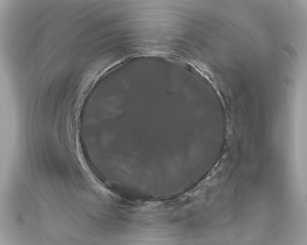 X0000111020097200907171903