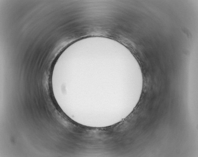 X0000111020098200907171903