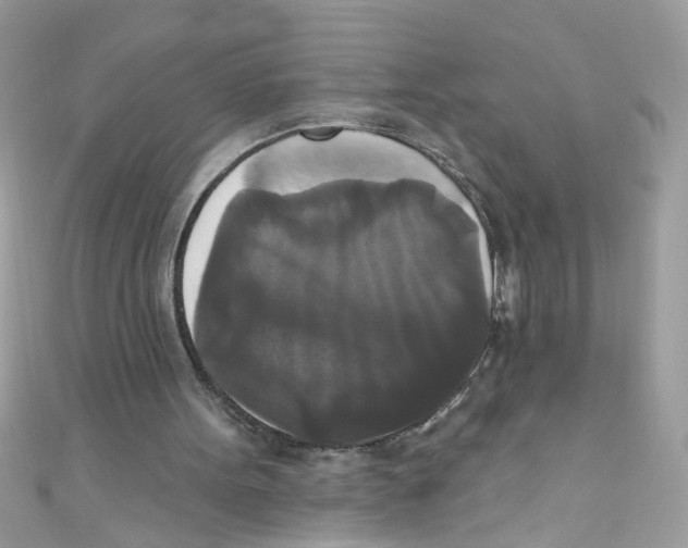 X0000111020099200907171903