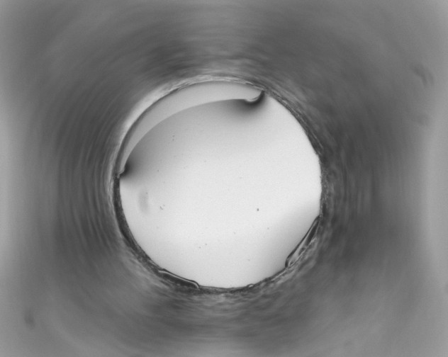 X0000111020100200907171903