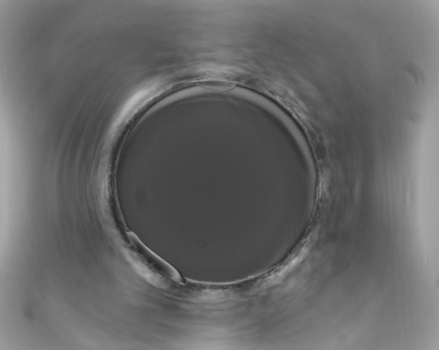 X0000111020101200907171903