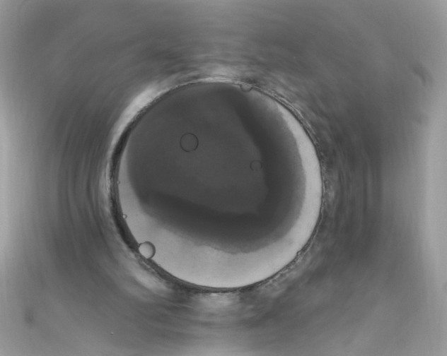 X0000111020102200907171903