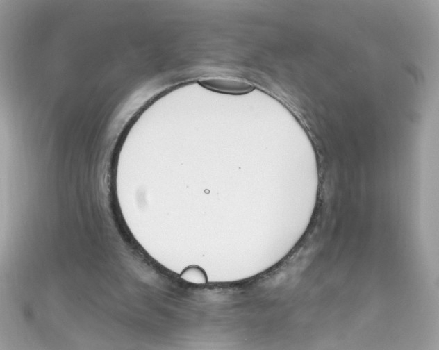 X0000111020103200907171903