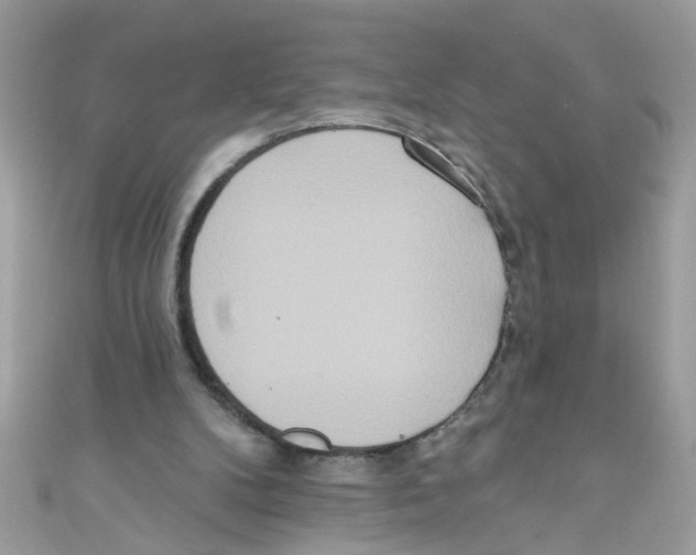 X0000111020104200907171903