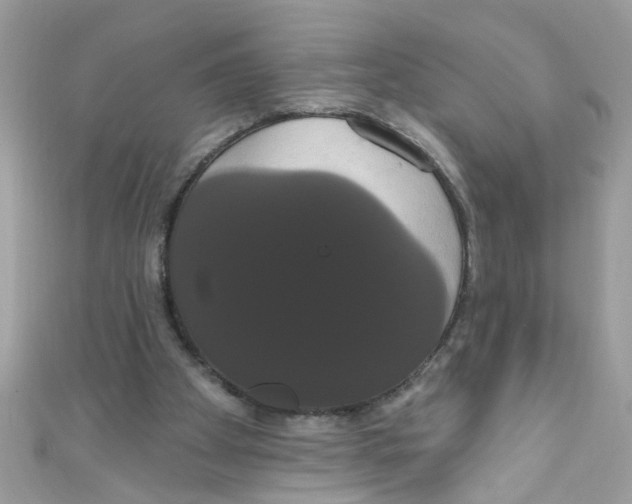 X0000111020105200907171903