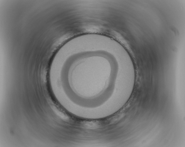 X0000111020106200907171903