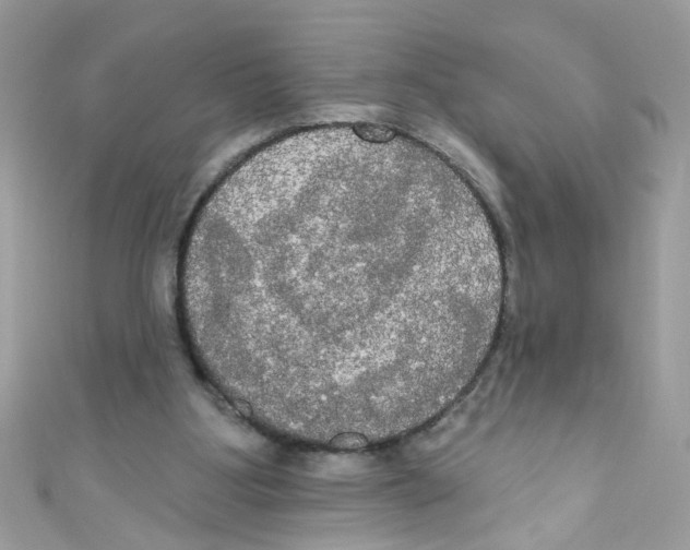 X0000111020107200907171903