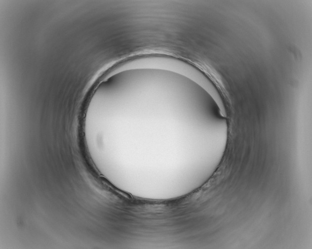 X0000111020108200907171903