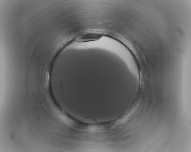 X0000111020109200907171903