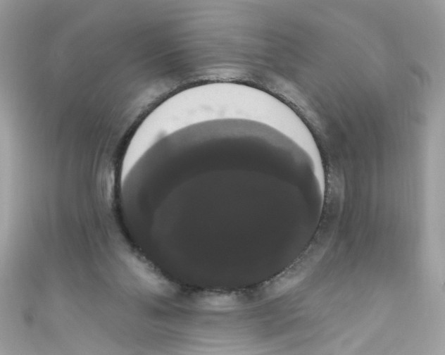 X0000111020110200907171903