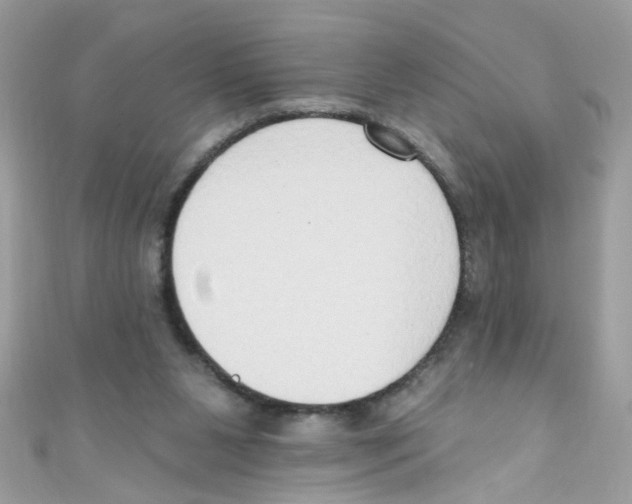 X0000111020111200907171903