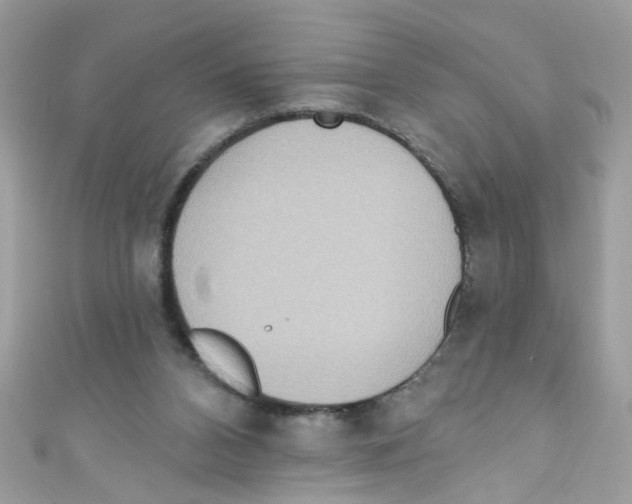 X0000111020112200907171903