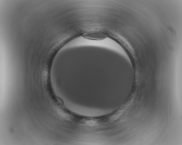 X0000111020113200907171903