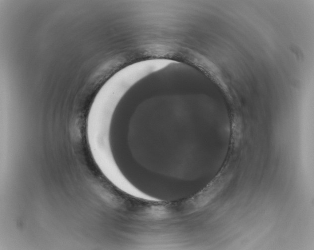 X0000111020114200907171903
