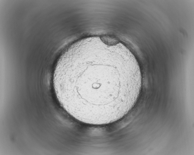 X0000111020115200907171903
