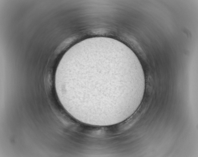 X0000111020116200907171903