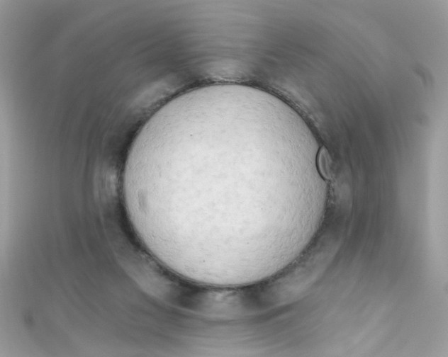 X0000111020117200907171903