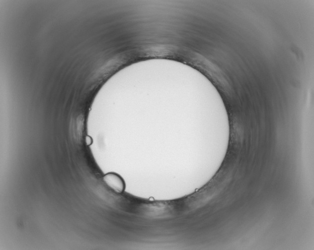 X0000111020118200907171903