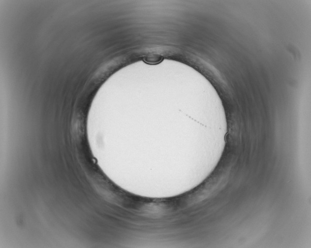 X0000111020119200907171903