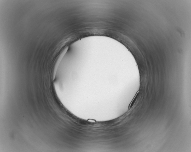 X0000111020120200907171903