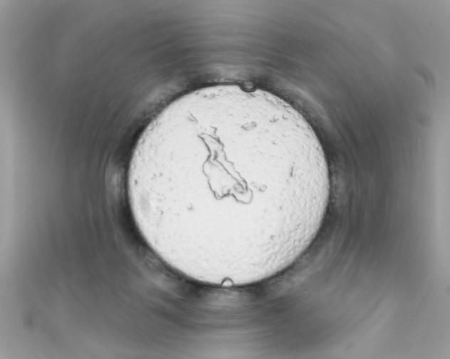 X0000111020123200907171903