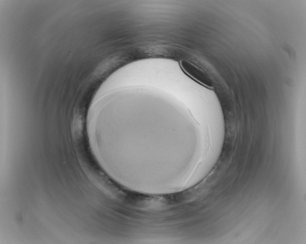 X0000111020124200907171903