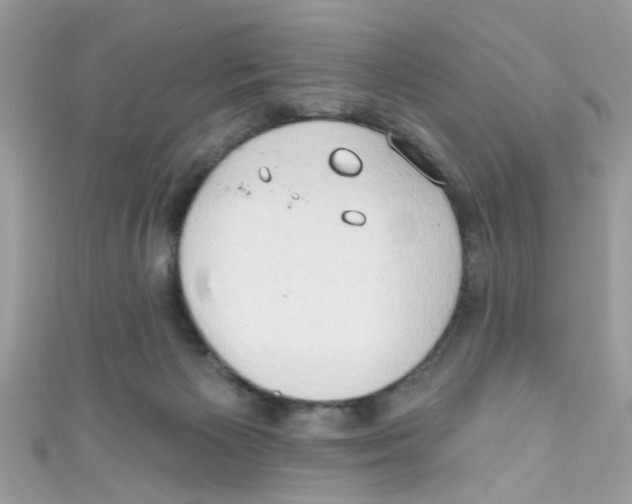 X0000111020125200907171903