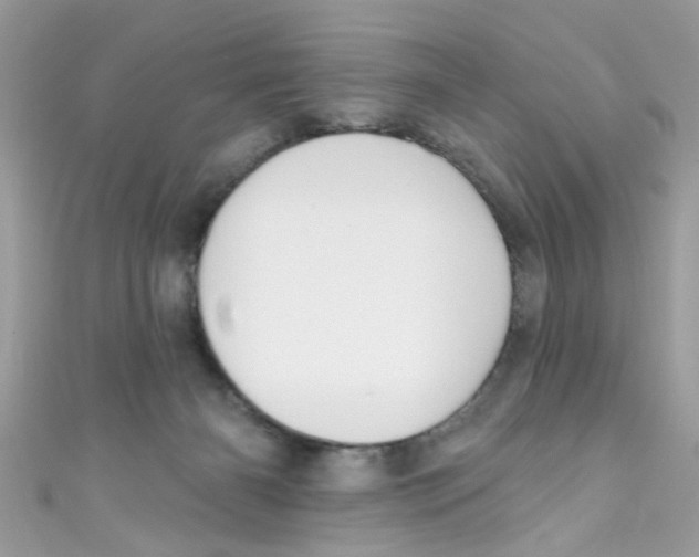 X0000111020126200907171903