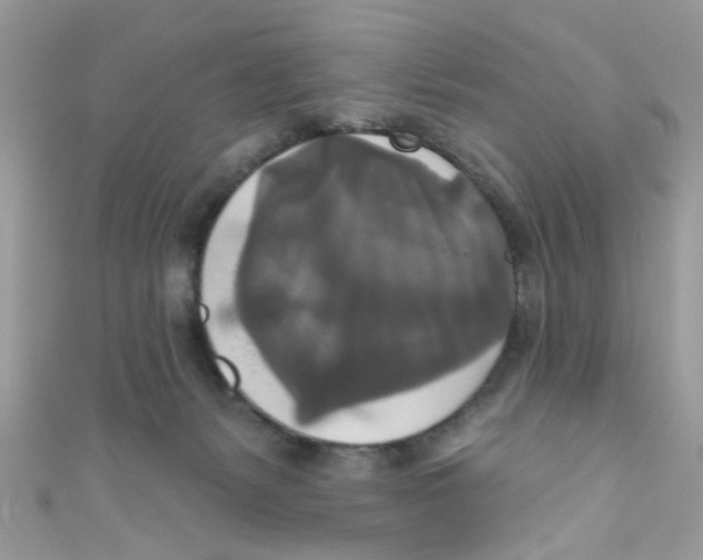 X0000111020127200907171903