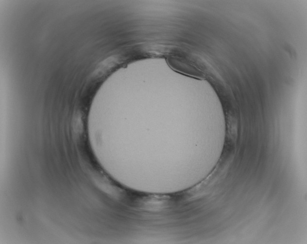 X0000111020128200907171903