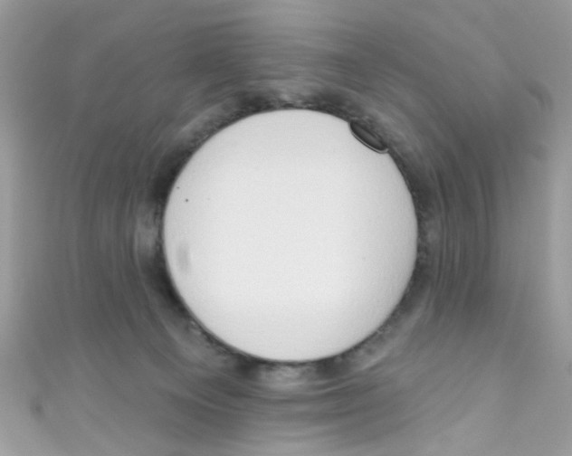X0000111020129200907171903