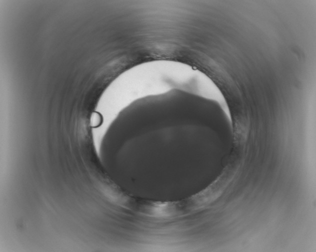 X0000111020130200907171903
