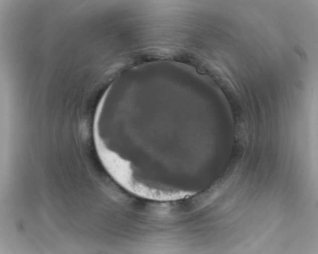 X0000111020131200907171903
