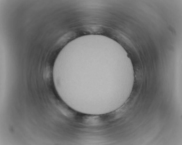 X0000111020132200907171903