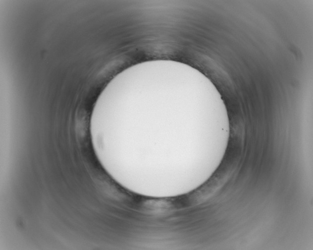 X0000111020133200907171903