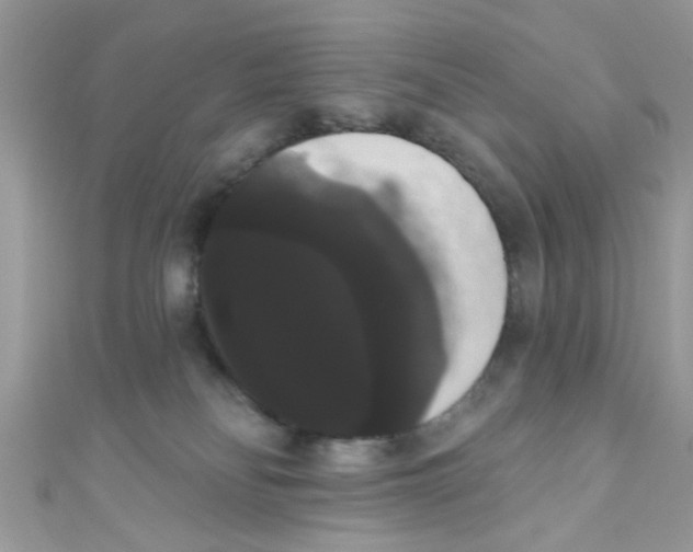 X0000111020134200907171903
