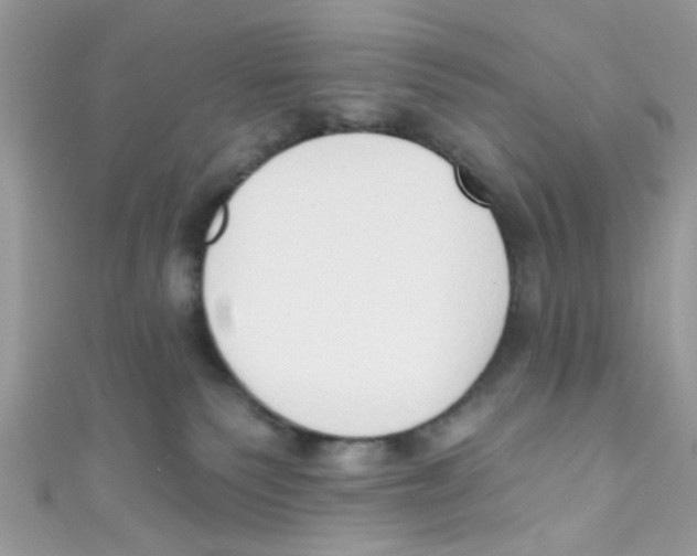 X0000111020135200907171903