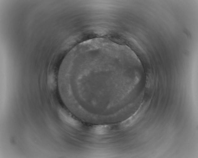 X0000111020136200907171903
