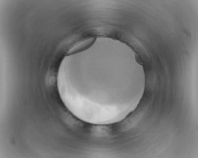 X0000111020137200907171903