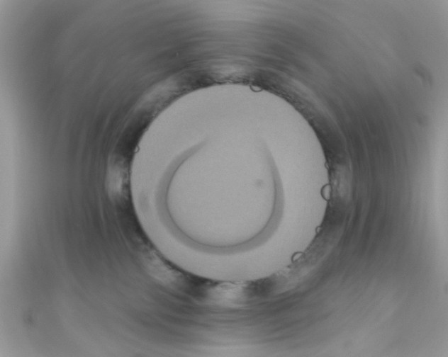 X0000111020138200907171903