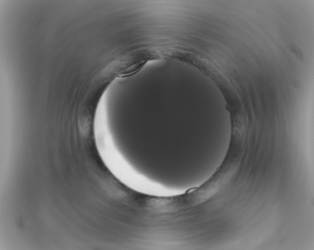 X0000111020139200907171903