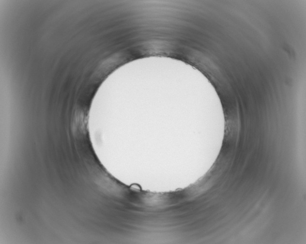 X0000111020142200907171903